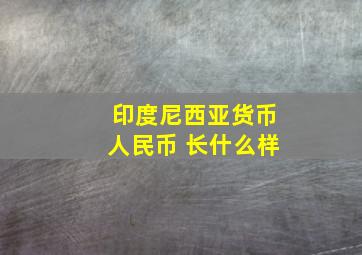 印度尼西亚货币人民币 长什么样